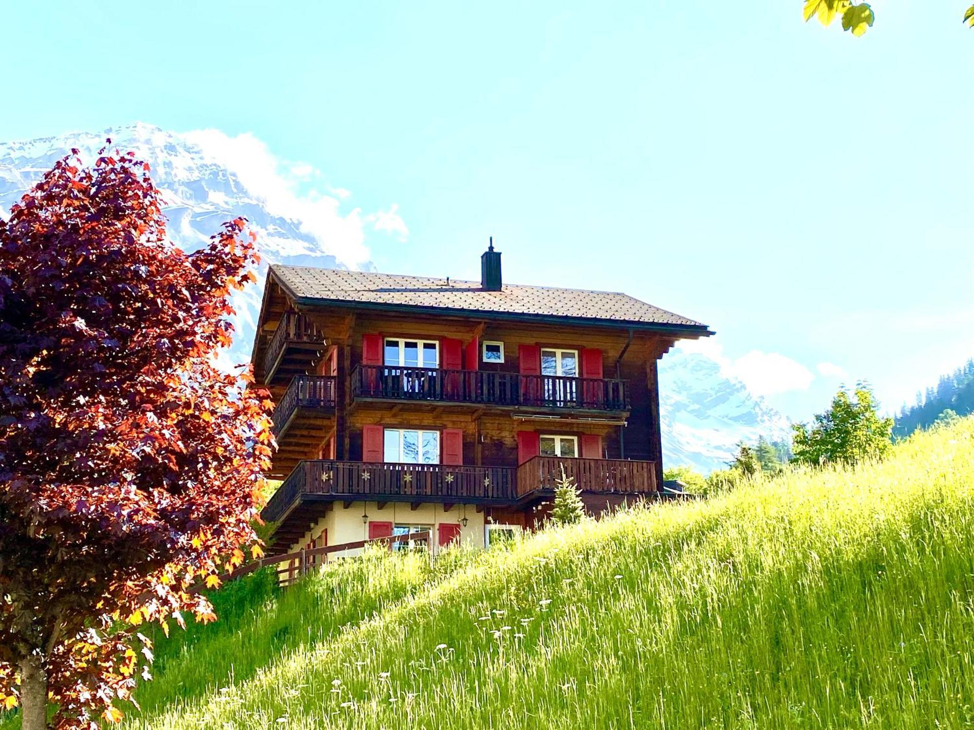 Apartments Chalet Tatyana لوكباد المظهر الخارجي الصورة